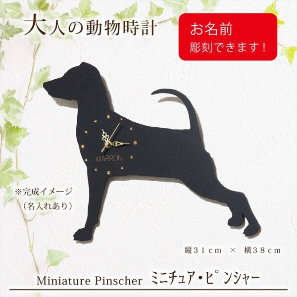 画像1: 犬の時計 ミニチュア・ピンシャー／０５ 《名入れ彫刻可》 (1)