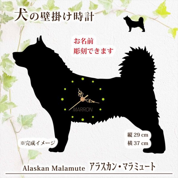 画像1: 犬の時計 アラスカン・マラミュート／０１《名入れ彫刻可》 (1)