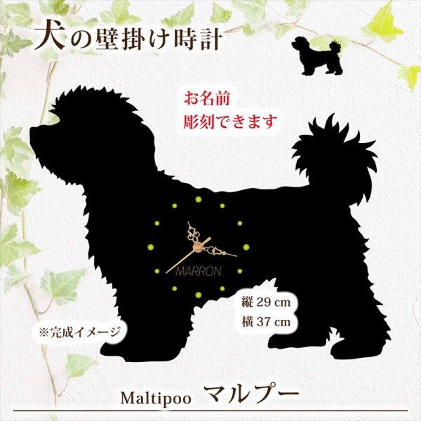 画像1: 犬の時計 マルプー／０２《名入れ彫刻可》 (1)