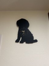 レビュー437-投稿画像1